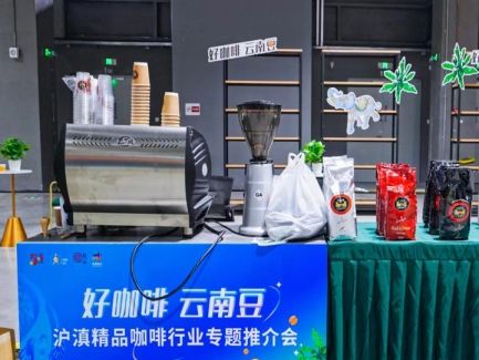 虹桥国际咖啡节来啦！咖啡+文旅+音乐熊猫体育智能股份+体育+爱情+摄影……(图6)