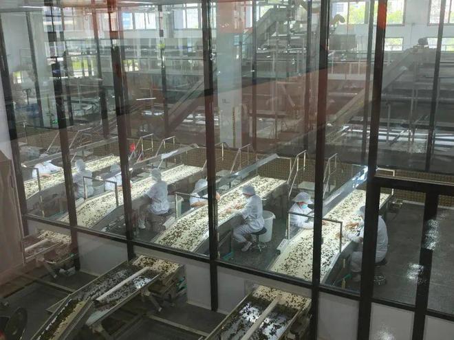 单场直播狂卖500万元熊猫体育直播平台！它靠什么把年轻人拿捏了？(图2)