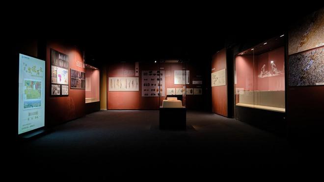 在资阳见“宜”面：一场熊猫体育球赛读懂两座城(图1)