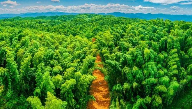 在资阳见“宜”面：一场熊猫体育球赛读懂两座城(图4)