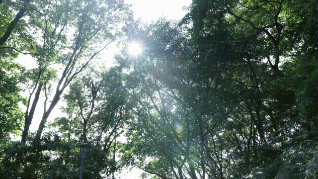 今天开赛！来广州体育馆看全运最全攻略来啦(图3)