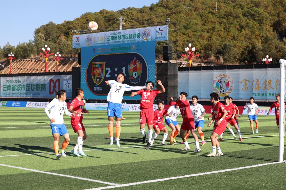 熊猫体育楚雄州2025年交出亮眼体育成绩单_新华网(图1)