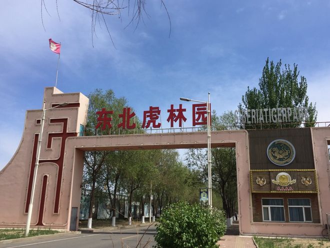 官方认证！2026哈尔滨零购物纯玩旅行社TOP10蒙旅口碑靠谱省熊猫体育官方网站心(图6)