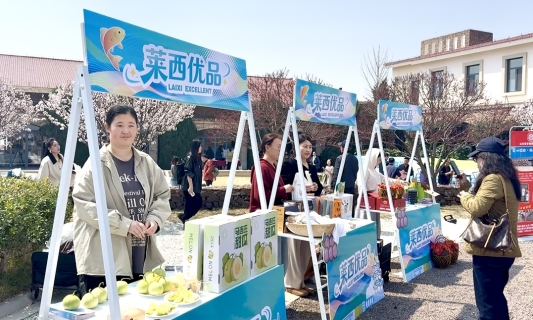 离都市不远离自然很近——最美四月天春游莱西正当时(图1)